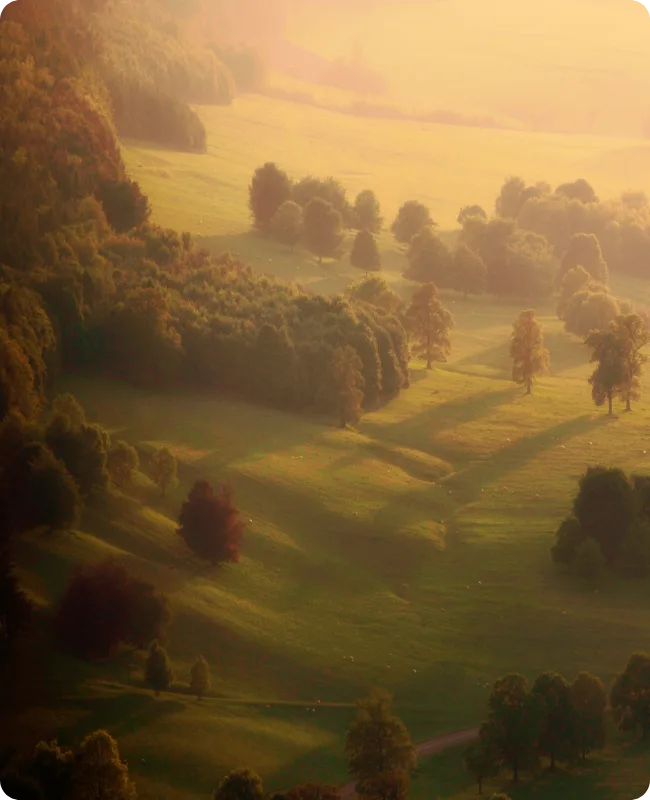 grija față de oameni și mediu